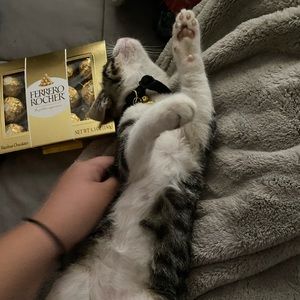 Meet your Posher, Melvina